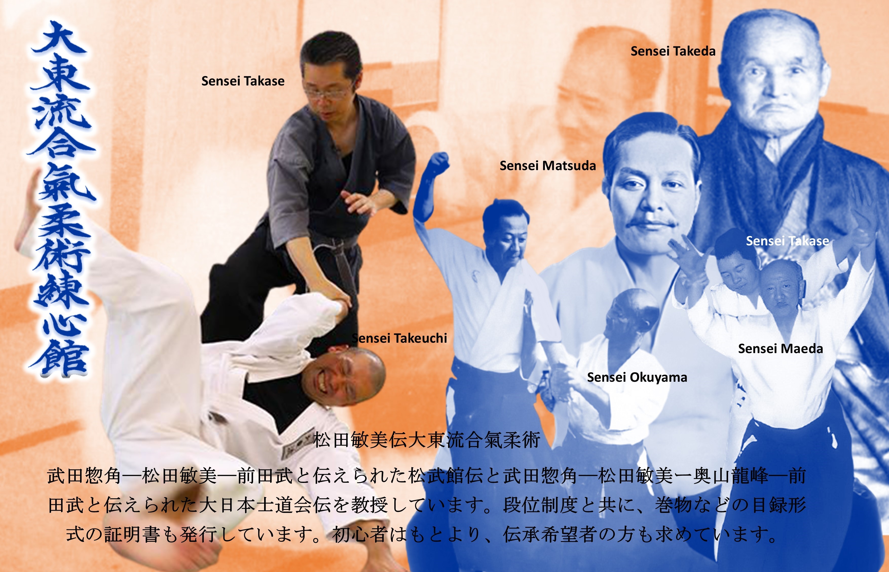 Daito Ryu Italia Aikijujutsu Renshinkan - Settore Nazionale 